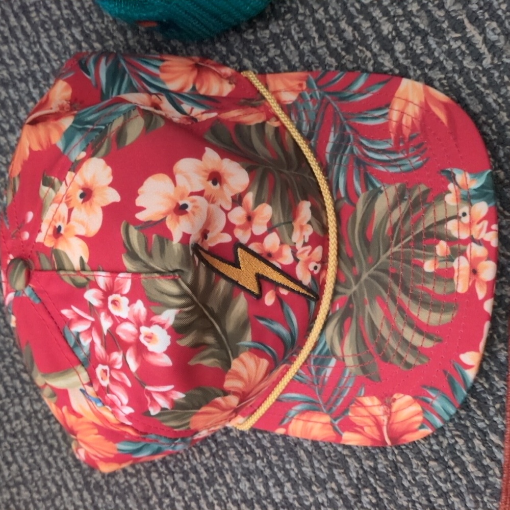 Aviator Nation Hat